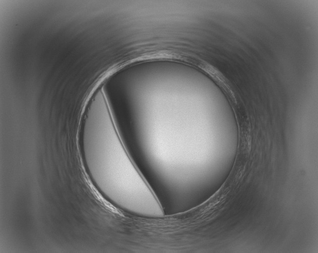 X0000054430805200507290950