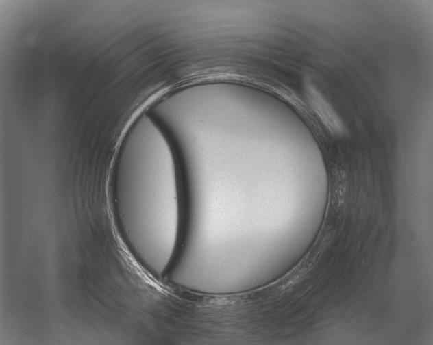 X0000054430806200507290950