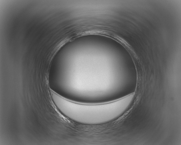 X0000054430809200507290950