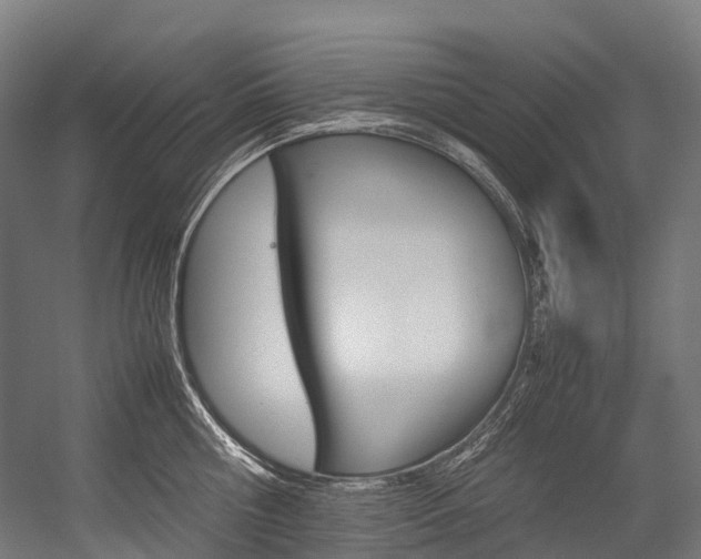 X0000054430810200507290950