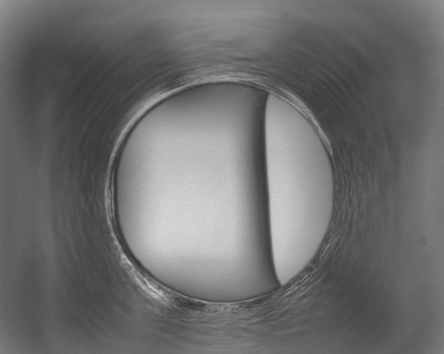 X0000054430811200507290950