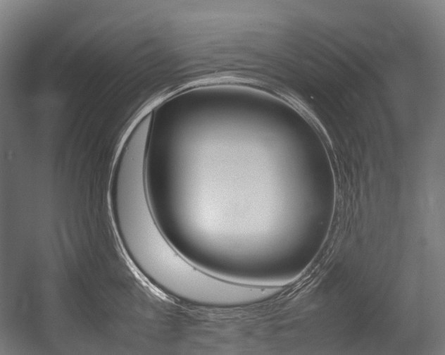 X0000054430813200507290950