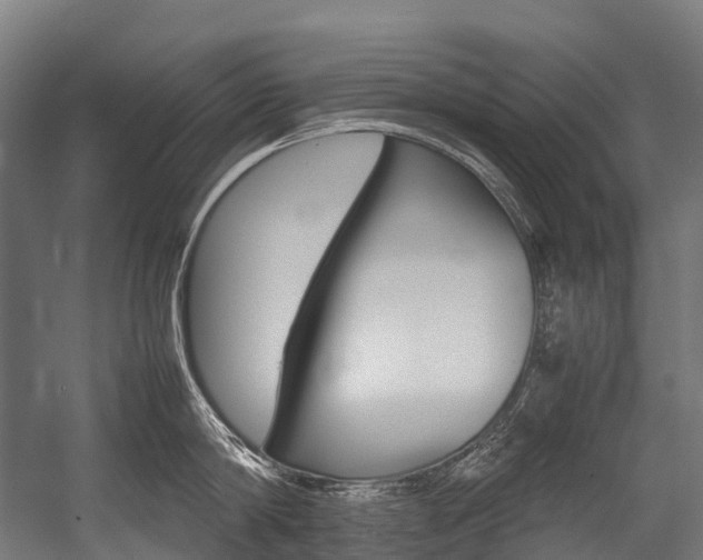X0000054430814200507290950