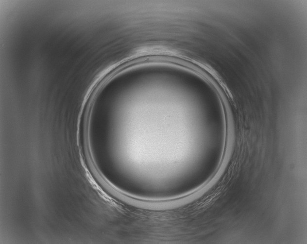 X0000054430815200507290950