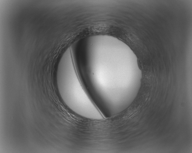 X0000054430817200507290949