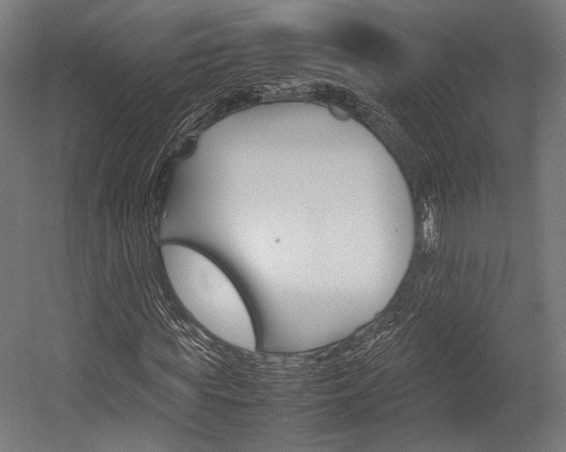 X0000054430819200507290949