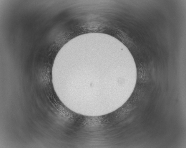 X0000054430820200507290949