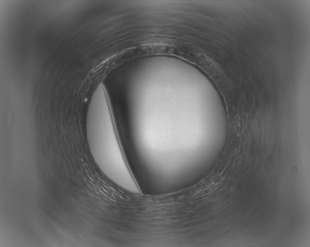 X0000054430821200507290949