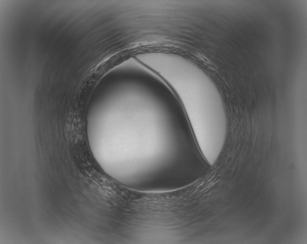 X0000054430822200507290949
