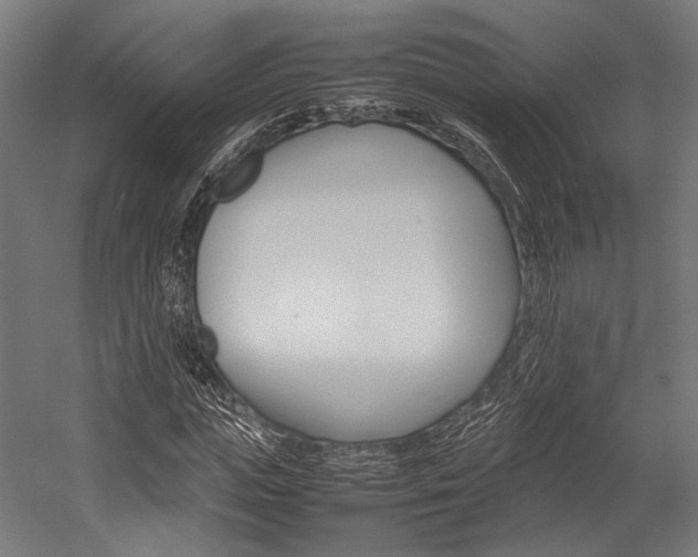 X0000054430823200507290949