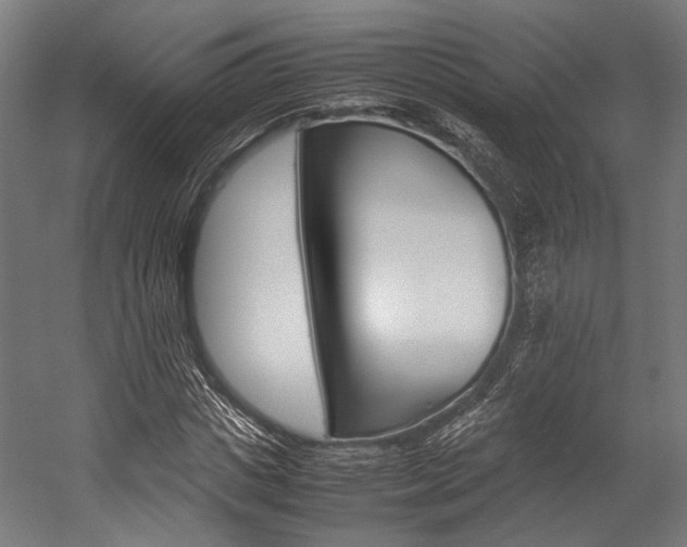X0000054430825200507290949