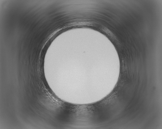 X0000054430828200507290949
