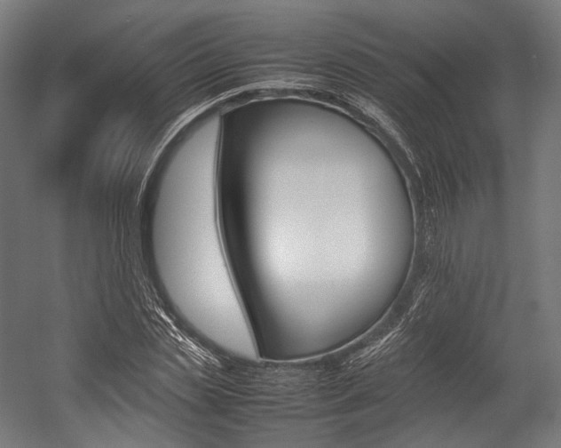 X0000054430829200507290949