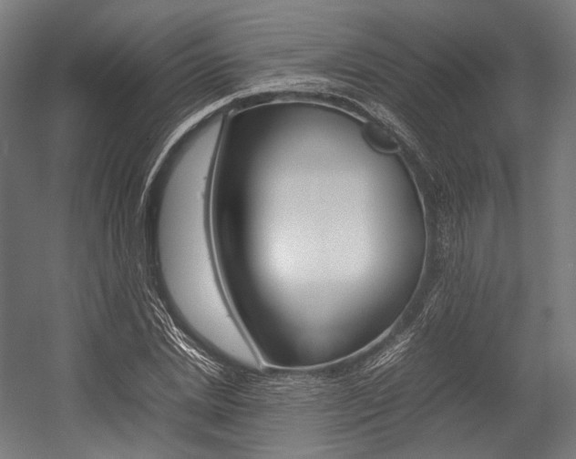 X0000054430830200507290949