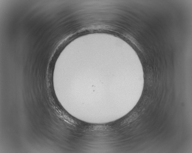 X0000054430832200507290950