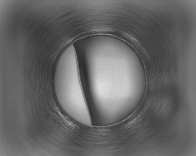 X0000054430833200507290950