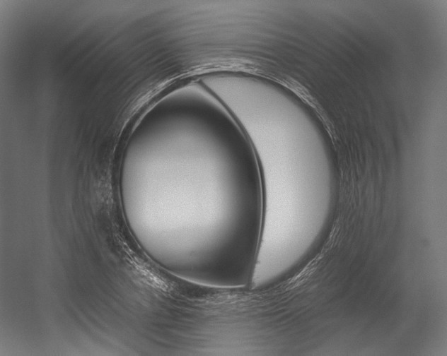X0000054430834200507290950