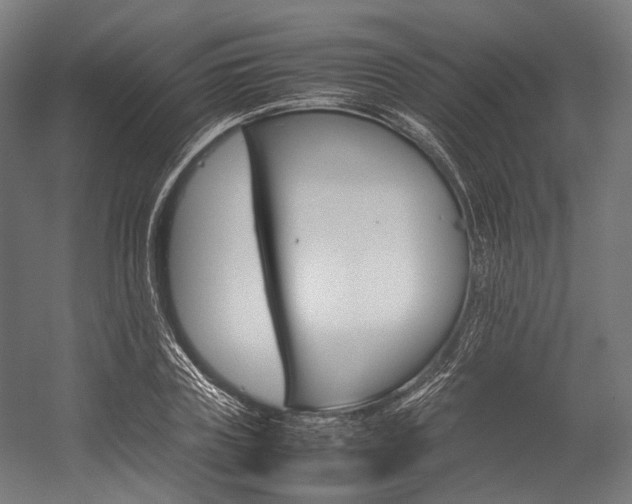 X0000054430835200507290950
