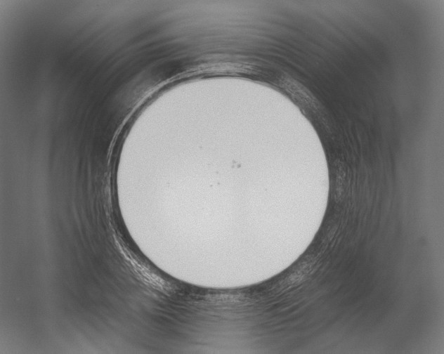 X0000054430836200507290950