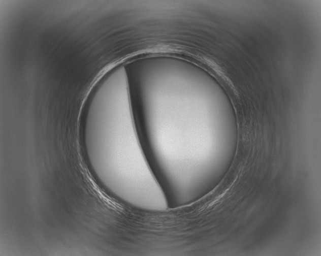 X0000054430837200507290950