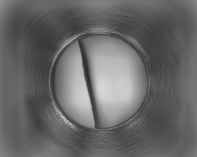 X0000054430839200507290950