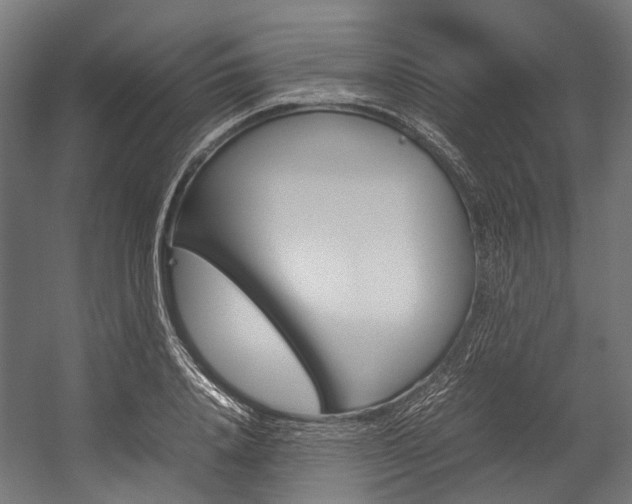 X0000054430840200507290950