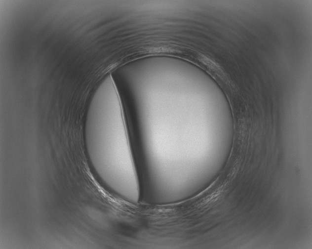 X0000054430841200507290950