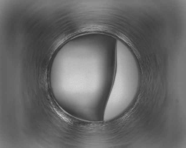 X0000054430842200507290950