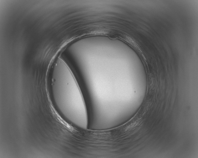 X0000054430843200507290950