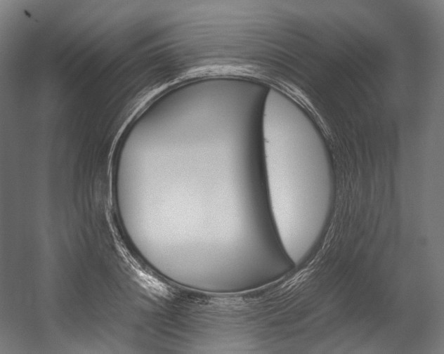 X0000054430844200507290950