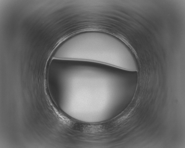 X0000054430845200507290950