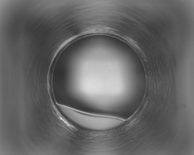 X0000054430846200507290950