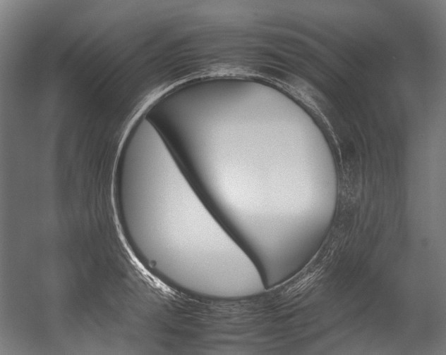 X0000054430847200507290950