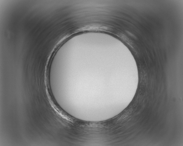 X0000054430848200507290950
