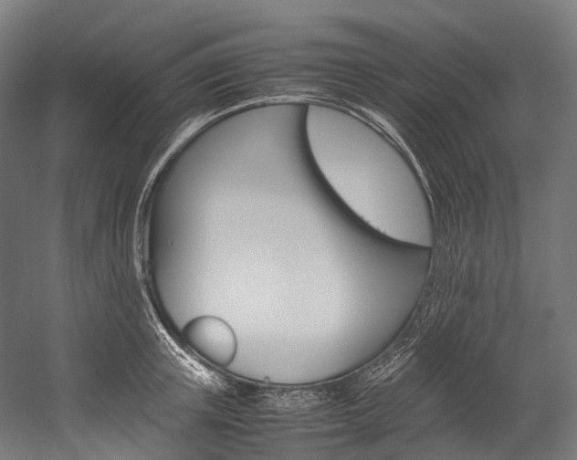 X0000054430851200507290950