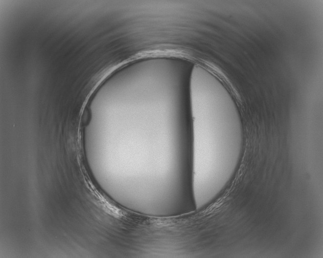 X0000054430852200507290950
