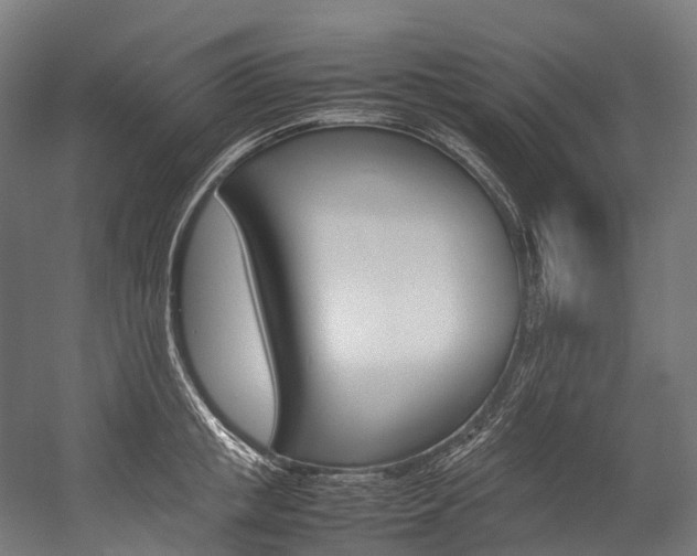 X0000054430853200507290950