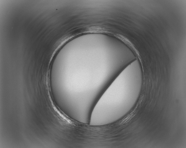 X0000054430855200507290950