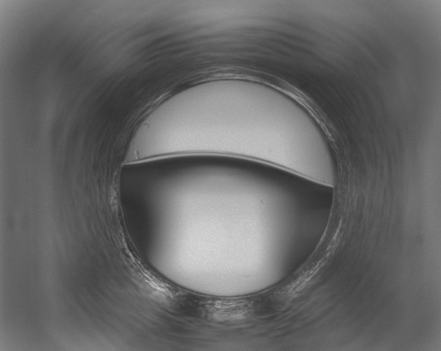 X0000054430857200507290950