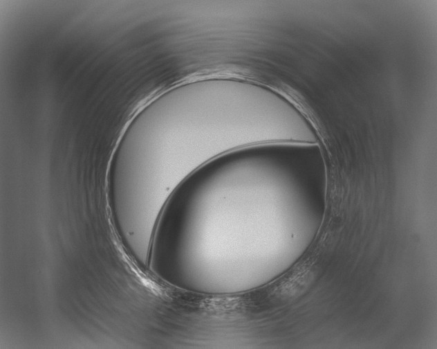X0000054430858200507290950