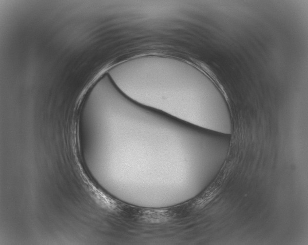 X0000054430859200507290950