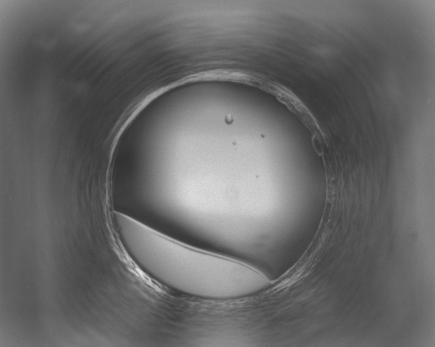 X0000054430860200507290950