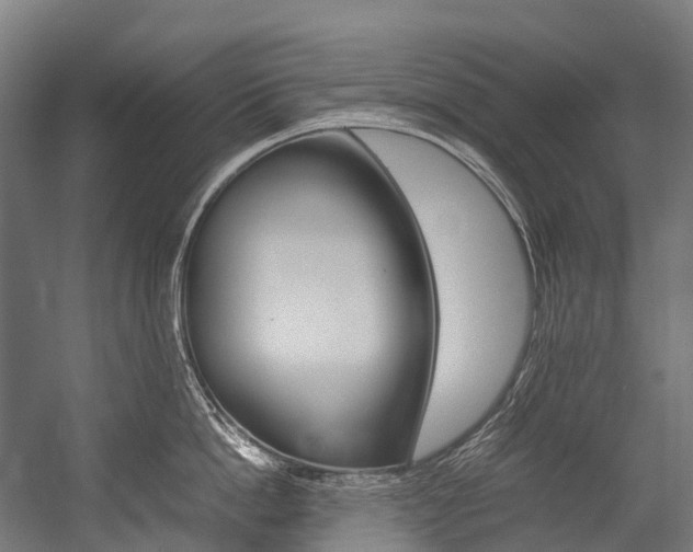 X0000054430862200507290950