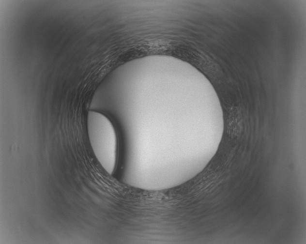 X0000054430866200507290949
