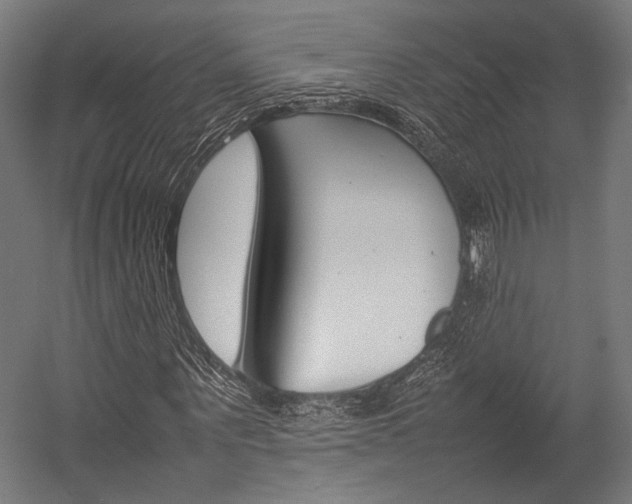 X0000054430867200507290949