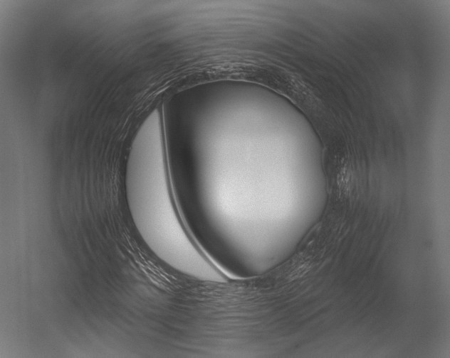 X0000054430868200507290949