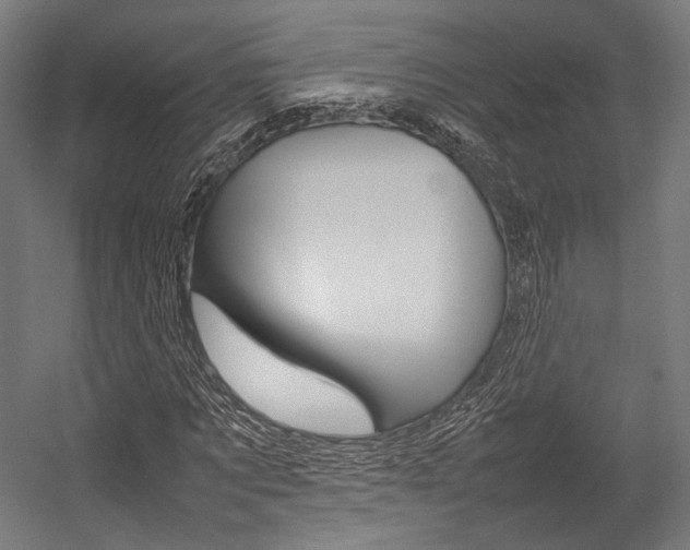 X0000054430869200507290949