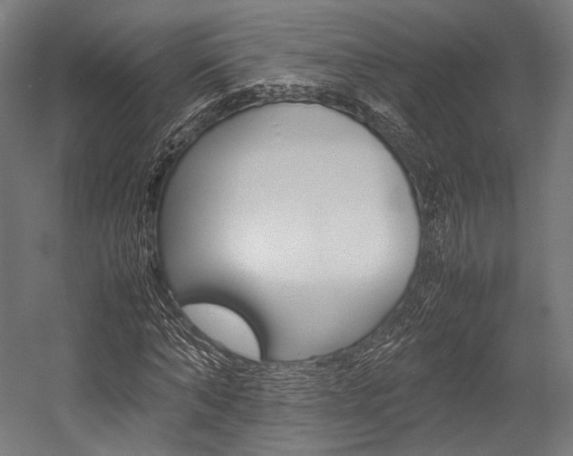 X0000054430870200507290949