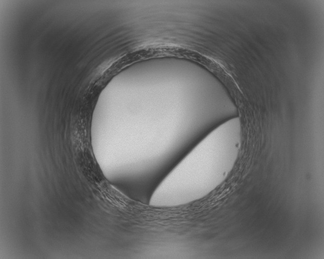 X0000054430871200507290949