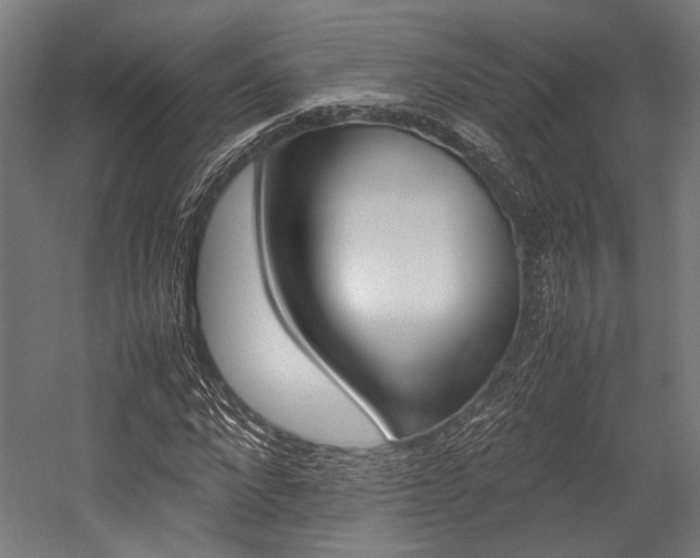 X0000054430872200507290949
